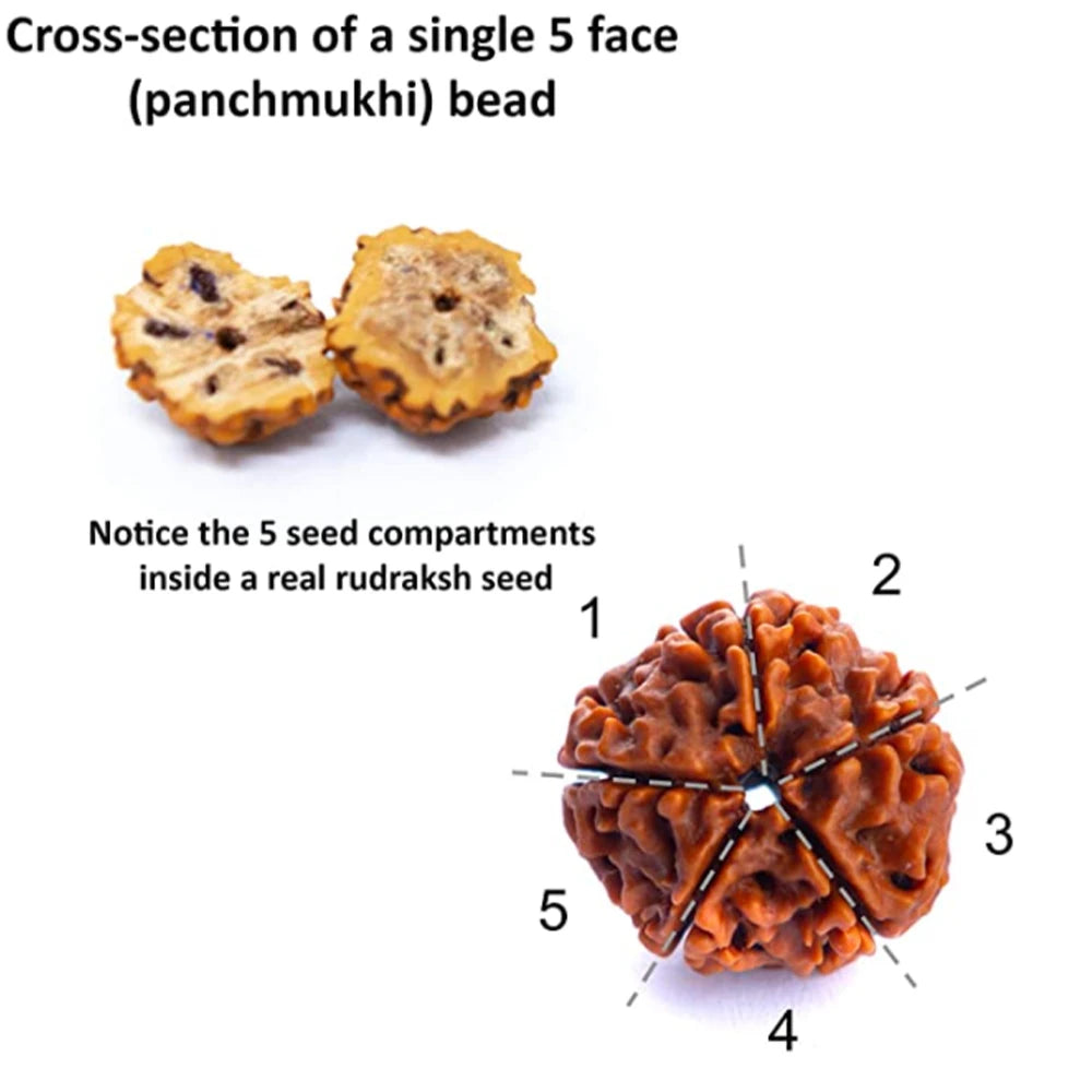 Rudraksha 108 Beads Mala Necklace